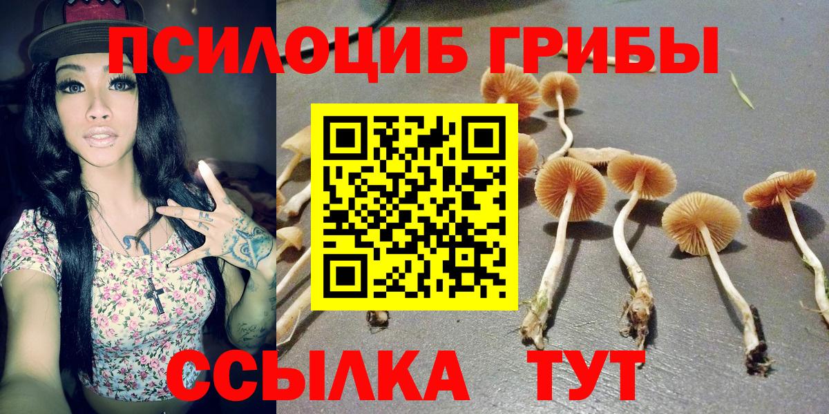 Галлюциногенные грибы Cubensis Богородск